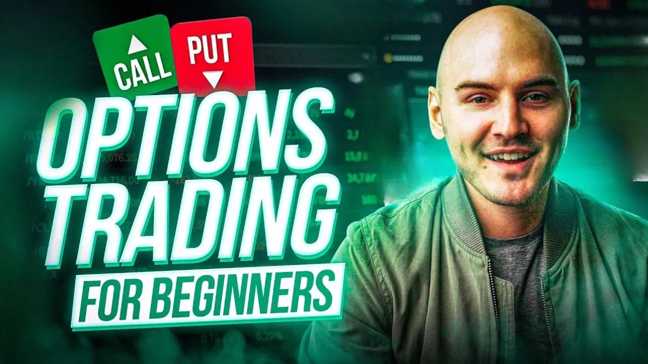 projectoption 教学视频